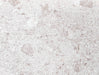 Fossil Oak SPC Vinyl Beading
