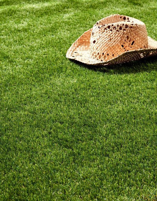 Hollywood Artificial Grass £16.99/m² (Width 2m) xccscss.