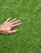 Madrid Stripe Artificial Grass £16.99/m² (Width 2m) xccscss.