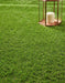 Miami Artificial Grass £17.99/m² (Width 2m) xccscss.