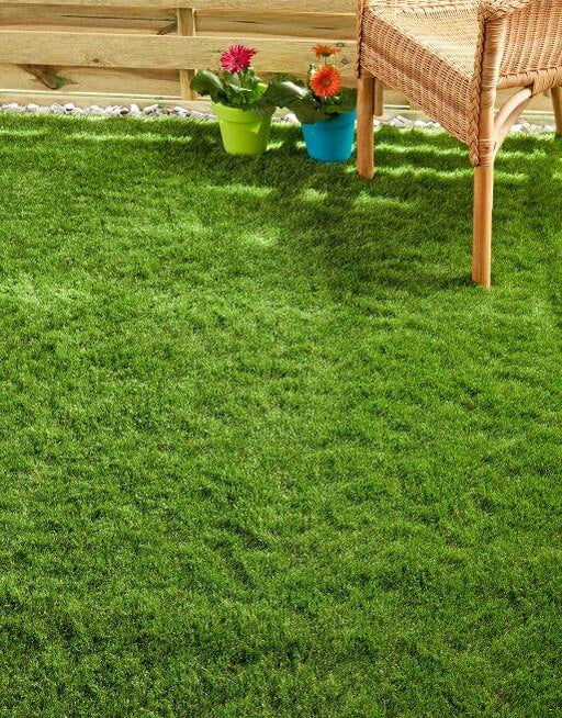 Cape Verde Artificial Grass £16.99/m² (Width 2m) xccscss.