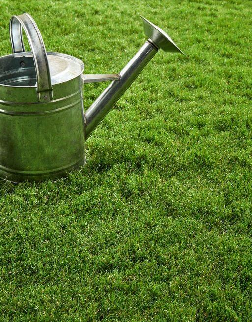 Cape Verde Artificial Grass £16.99/m² (Width 2m) xccscss.