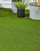 Cairns Artificial Grass £14.99/m² (Width 2m) xccscss.