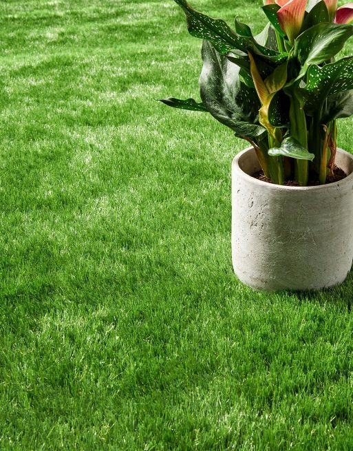 Lisbon Artificial Grass £20.99/m² (Width 2m) xccscss.