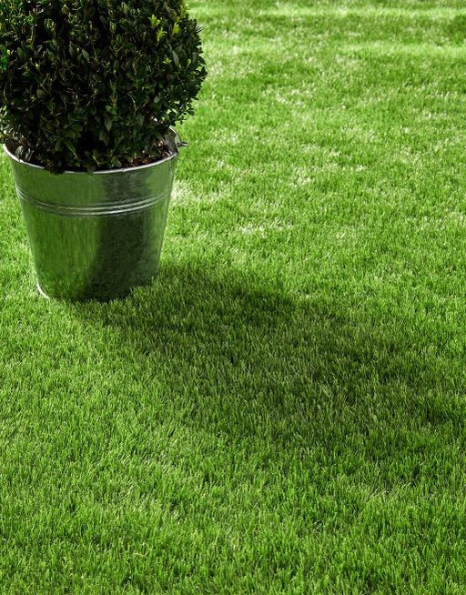 Lucerne Artificial Grass £17.99/m² (Width 2m) xccscss.