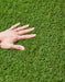 Melbourne Artificial Grass £12.99/m² (Width 2m) xccscss.